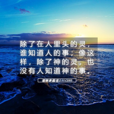 Picture 05 - 哥 林 多 前 书 2:11 CUVS - 除 了 在 人 里 头 的 灵 ， 谁 知 道 - Bible Verse Picture