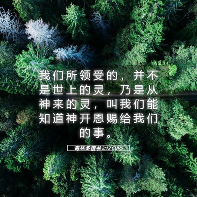 Picture 05 - 哥 林 多 前 书 2:12 CUVS - 我 们 所 领 受 的 ， 并 不 是 世 上 - Bible Verse Picture