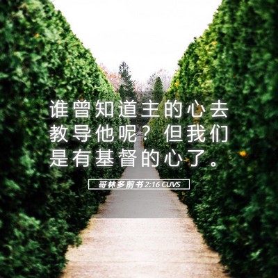Picture 05 - 哥 林 多 前 书 2:16 CUVS - 谁 曾 知 道 主 的 心 去 教 导 他 呢 - Bible Verse Picture