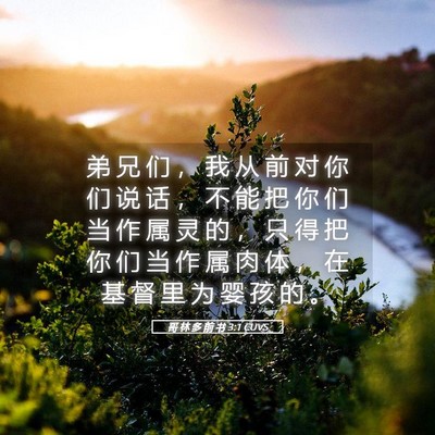 Picture 05 - 哥 林 多 前 书 3:1 CUVS - 弟 兄 们 ， 我 从 前 对 你 们 说 话 - Bible Verse Picture