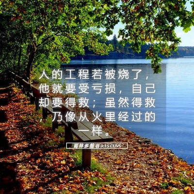 Picture 05 - 哥 林 多 前 书 3:15 CUVS - 人 的 工 程 若 被 烧 了 ， 他 就 要 - Bible Verse Picture