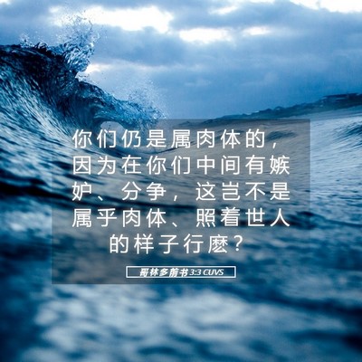 Picture 05 - 哥 林 多 前 书 3:3 CUVS - 你 们 仍 是 属 肉 体 的 ， 因 为 在 - Bible Verse Picture