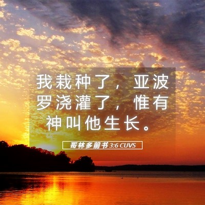Picture 05 - 哥 林 多 前 书 3:6 CUVS - 我 栽 种 了 ， 亚 波 罗 浇 灌 了 ， - Bible Verse Picture