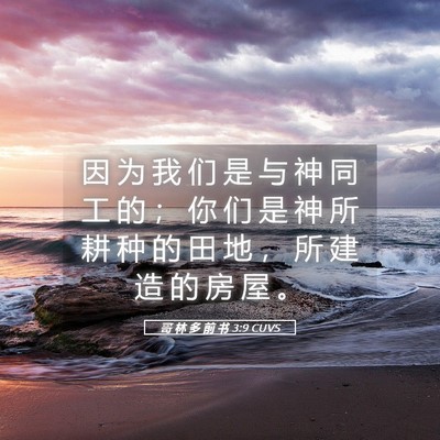 Picture 05 - 哥 林 多 前 书 3:9 CUVS - 因 为 我 们 是 与 神 同 工 的 ； 你 - Bible Verse Picture