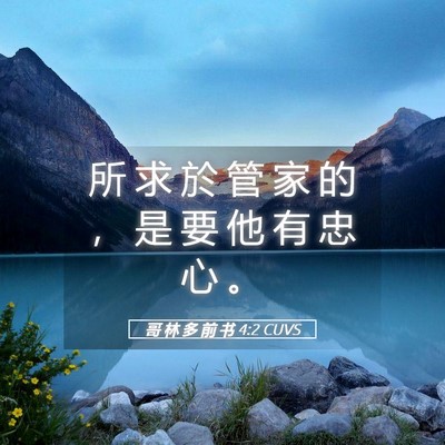 Picture 05 - 哥 林 多 前 书 4:2 CUVS - 所 求 於 管 家 的 ， 是 要 他 有 忠 - Bible Verse Picture