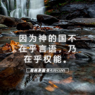 Picture 05 - 哥 林 多 前 书 4:20 CUVS - 因 为 神 的 国 不 在 乎 言 语 ， 乃 - Bible Verse Picture
