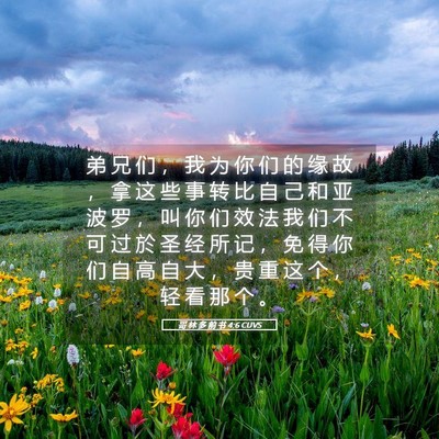 Picture 05 - 哥 林 多 前 书 4:6 CUVS - 弟 兄 们 ， 我 为 你 们 的 缘 故 ， - Bible Verse Picture