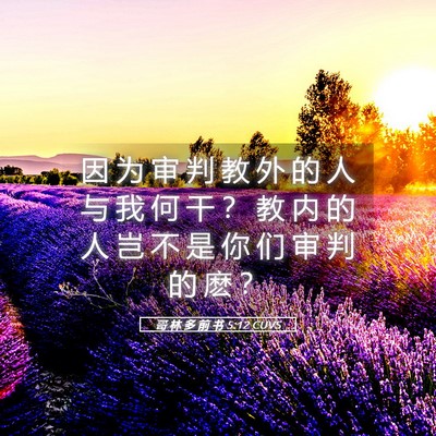 Picture 05 - 哥 林 多 前 书 5:12 CUVS - 因 为 审 判 教 外 的 人 与 我 何 干 - Bible Verse Picture
