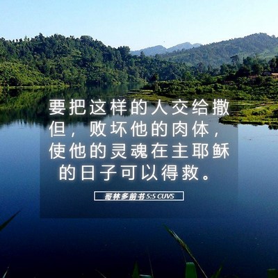 Picture 05 - 哥 林 多 前 书 5:5 CUVS - 要 把 这 样 的 人 交 给 撒 但 ， 败 - Bible Verse Picture