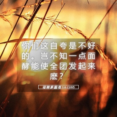 Picture 05 - 哥 林 多 前 书 5:6 CUVS - 你 们 这 自 夸 是 不 好 的 。 岂 不 - Bible Verse Picture