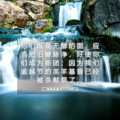 Picture 05 - 哥 林 多 前 书 5:7 CUVS - 你 们 既 是 无 酵 的 面 ， 应 当 把 - Bible Verse Picture