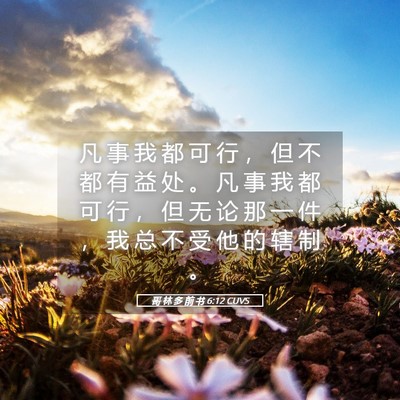Picture 05 - 哥 林 多 前 书 6:12 CUVS - 凡 事 我 都 可 行 ， 但 不 都 有 益 - Bible Verse Picture