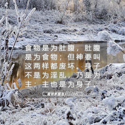 Picture 05 - 哥 林 多 前 书 6:13 CUVS - 食 物 是 为 肚 腹 ， 肚 腹 是 为 食 - Bible Verse Picture
