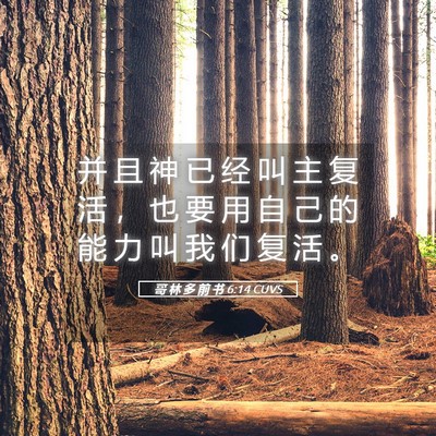 Picture 05 - 哥 林 多 前 书 6:14 CUVS - 并 且 神 已 经 叫 主 复 活 ， 也 要 - Bible Verse Picture