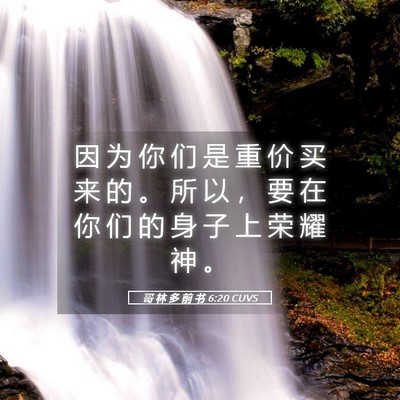 Picture 05 - 哥 林 多 前 书 6:20 CUVS - 因 为 你 们 是 重 价 买 来 的 。 所 - Bible Verse Picture