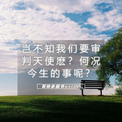 Picture 05 - 哥 林 多 前 书 6:3 CUVS - 岂 不 知 我 们 要 审 判 天 使 麽 ？ - Bible Verse Picture