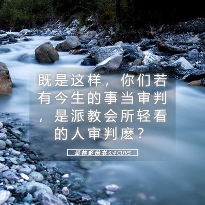 Picture 05 - 哥 林 多 前 书 6:4 CUVS - 既 是 这 样 ， 你 们 若 有 今 生 的 - Bible Verse Picture