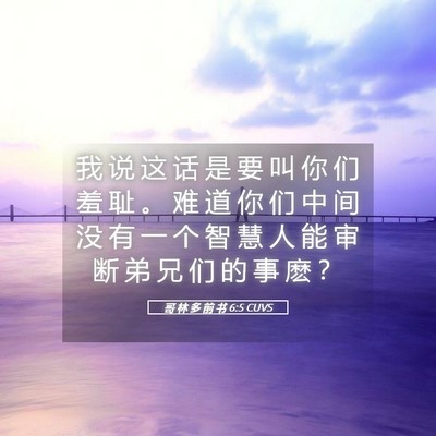 Picture 05 - 哥 林 多 前 书 6:5 CUVS - 我 说 这 话 是 要 叫 你 们 羞 耻 。 - Bible Verse Picture