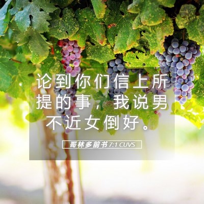 Picture 05 - 哥 林 多 前 书 7:1 CUVS - 论 到 你 们 信 上 所 提 的 事 ， 我 - Bible Verse Picture