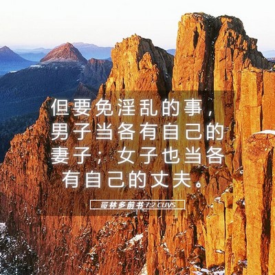 Picture 05 - 哥 林 多 前 书 7:2 CUVS - 但 要 免 淫 乱 的 事 ， 男 子 当 各 - Bible Verse Picture
