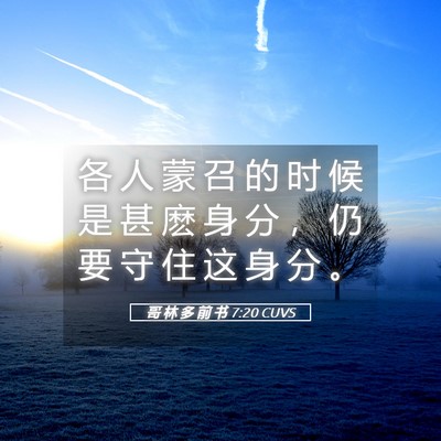 Picture 05 - 哥 林 多 前 书 7:20 CUVS - 各 人 蒙 召 的 时 候 是 甚 麽 身 分 - Bible Verse Picture