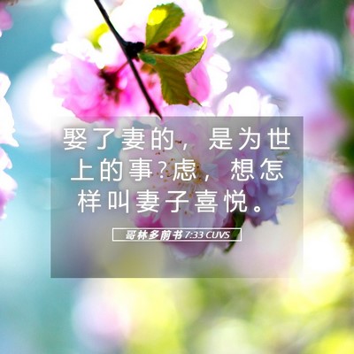 Picture 05 - 哥 林 多 前 书 7:33 CUVS - 娶 了 妻 的 ， 是 为 世 上 的 事 ? 虑 - Bible Verse Picture