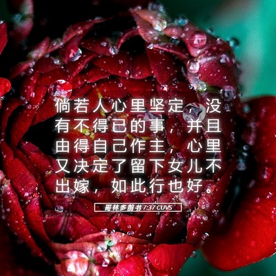 Picture 05 - 哥 林 多 前 书 7:37 CUVS - 倘 若 人 心 里 坚 定 ， 没 有 不 得 - Bible Verse Picture