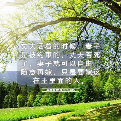 Picture 05 - 哥 林 多 前 书 7:39 CUVS - 丈 夫 活 着 的 时 候 ， 妻 子 是 被 - Bible Verse Picture