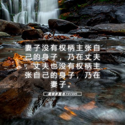 Picture 05 - 哥 林 多 前 书 7:4 CUVS - 妻 子 没 有 权 柄 主 张 自 己 的 身 - Bible Verse Picture