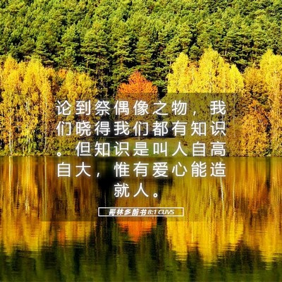 Picture 05 - 哥 林 多 前 书 8:1 CUVS - 论 到 祭 偶 像 之 物 ， 我 们 晓 得 - Bible Verse Picture