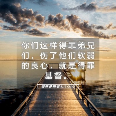 Picture 05 - 哥 林 多 前 书 8:12 CUVS - 你 们 这 样 得 罪 弟 兄 们 ， 伤 了 - Bible Verse Picture