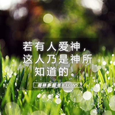 Picture 05 - 哥 林 多 前 书 8:3 CUVS - 若 有 人 爱 神 ， 这 人 乃 是 神 所 - Bible Verse Picture