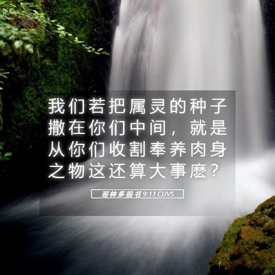 Picture 05 - 哥 林 多 前 书 9:11 CUVS - 我 们 若 把 属 灵 的 种 子 撒 在 你 - Bible Verse Picture