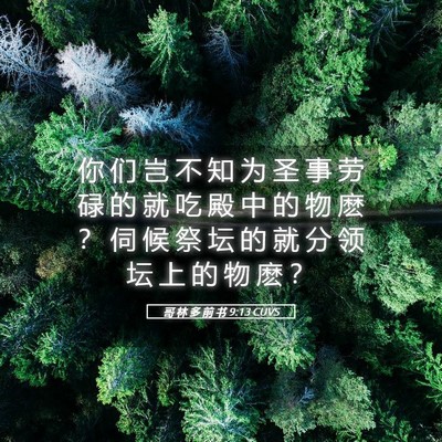 Picture 05 - 哥 林 多 前 书 9:13 CUVS - 你 们 岂 不 知 为 圣 事 劳 碌 的 就 - Bible Verse Picture