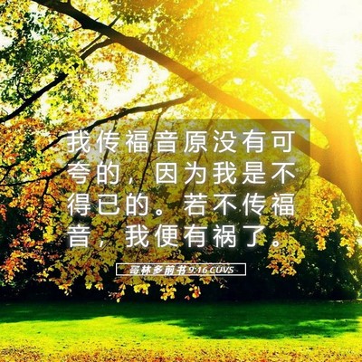 Picture 05 - 哥 林 多 前 书 9:16 CUVS - 我 传 福 音 原 没 有 可 夸 的 ， 因 - Bible Verse Picture