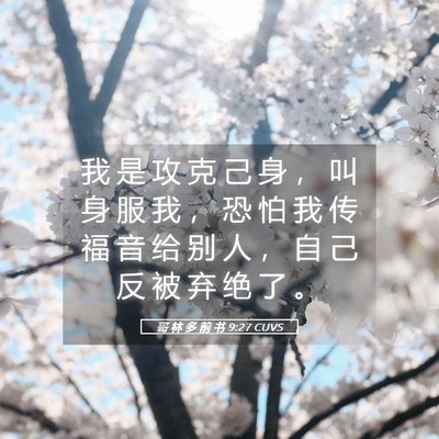 Picture 05 - 哥 林 多 前 书 9:27 CUVS - 我 是 攻 克 己 身 ， 叫 身 服 我 ， - Bible Verse Picture