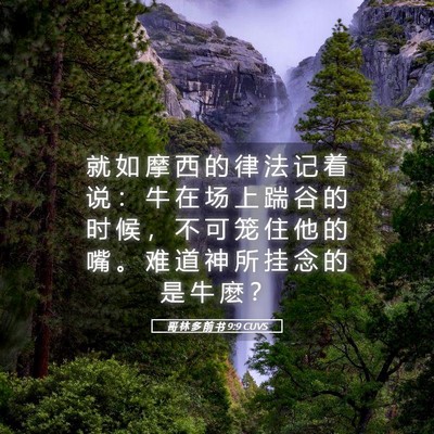 Picture 05 - 哥 林 多 前 书 9:9 CUVS - 就 如 摩 西 的 律 法 记 着 说 ： 牛 - Bible Verse Picture