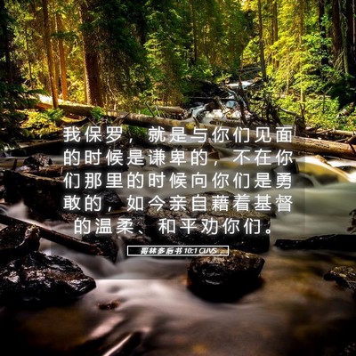 Picture 05 - 哥 林 多 后 书 10:1 CUVS - 我 保 罗 ， 就 是 与 你 们 见 面 的 - Bible Verse Picture