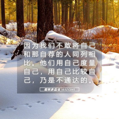 Picture 05 - 哥 林 多 后 书 10:12 CUVS - 因 为 我 们 不 敢 将 自 己 和 那 自 - Bible Verse Picture