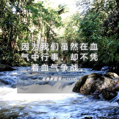 Picture 05 - 哥 林 多 后 书 10:3 CUVS - 因 为 我 们 虽 然 在 血 气 中 行 事 - Bible Verse Picture