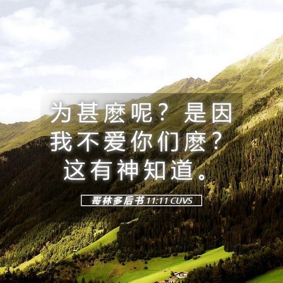 Picture 05 - 哥 林 多 后 书 11:11 CUVS - 为 甚 麽 呢 ？ 是 因 我 不 爱 你 们 - Bible Verse Picture