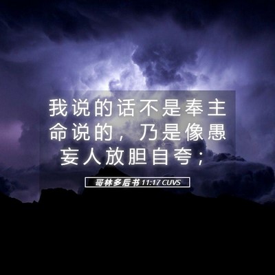Picture 05 - 哥 林 多 后 书 11:17 CUVS - 我 说 的 话 不 是 奉 主 命 说 的 ， - Bible Verse Picture