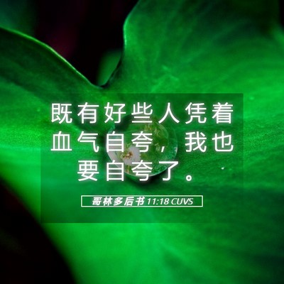 Picture 05 - 哥 林 多 后 书 11:18 CUVS - 既 有 好 些 人 凭 着 血 气 自 夸 ， - Bible Verse Picture