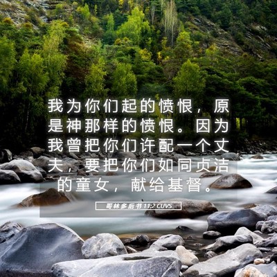 Picture 05 - 哥 林 多 后 书 11:2 CUVS - 我 为 你 们 起 的 愤 恨 ， 原 是 神 - Bible Verse Picture