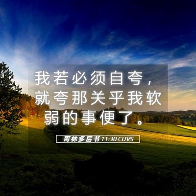 Picture 05 - 哥 林 多 后 书 11:30 CUVS - 我 若 必 须 自 夸 ， 就 夸 那 关 乎 - Bible Verse Picture