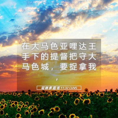 Picture 05 - 哥 林 多 后 书 11:32 CUVS - 在 大 马 色 亚 哩 达 王 手 下 的 提 - Bible Verse Picture