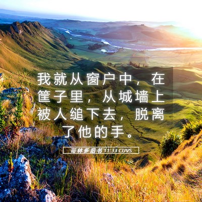 Picture 05 - 哥 林 多 后 书 11:33 CUVS - 我 就 从 窗 户 中 ， 在 筐 子 里 ， - Bible Verse Picture