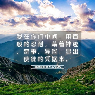 Picture 05 - 哥 林 多 后 书 12:12 CUVS - 我 在 你 们 中 间 ， 用 百 般 的 忍 - Bible Verse Picture