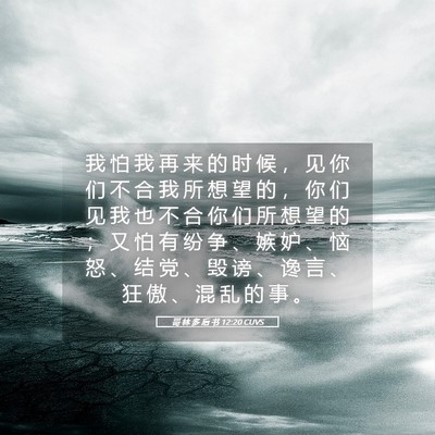 Picture 05 - 哥 林 多 后 书 12:20 CUVS - 我 怕 我 再 来 的 时 候 ， 见 你 们 - Bible Verse Picture