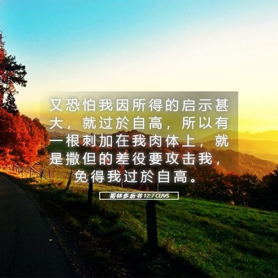 Picture 05 - 哥 林 多 后 书 12:7 CUVS - 又 恐 怕 我 因 所 得 的 启 示 甚 大 - Bible Verse Picture